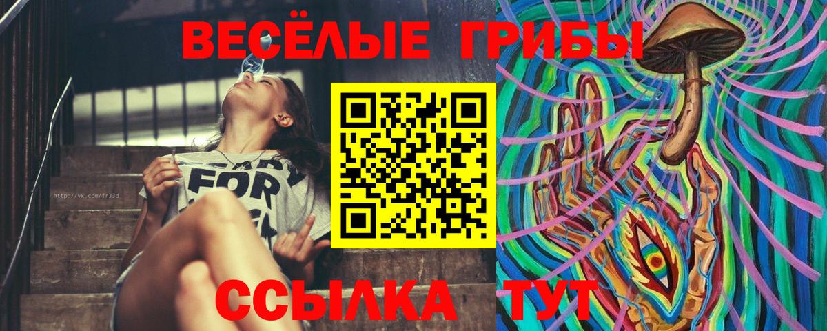 Псилоцибиновые грибы мухоморы  Вход с VPN  Галлюциногенные грибы Psilocybe  Пенза 